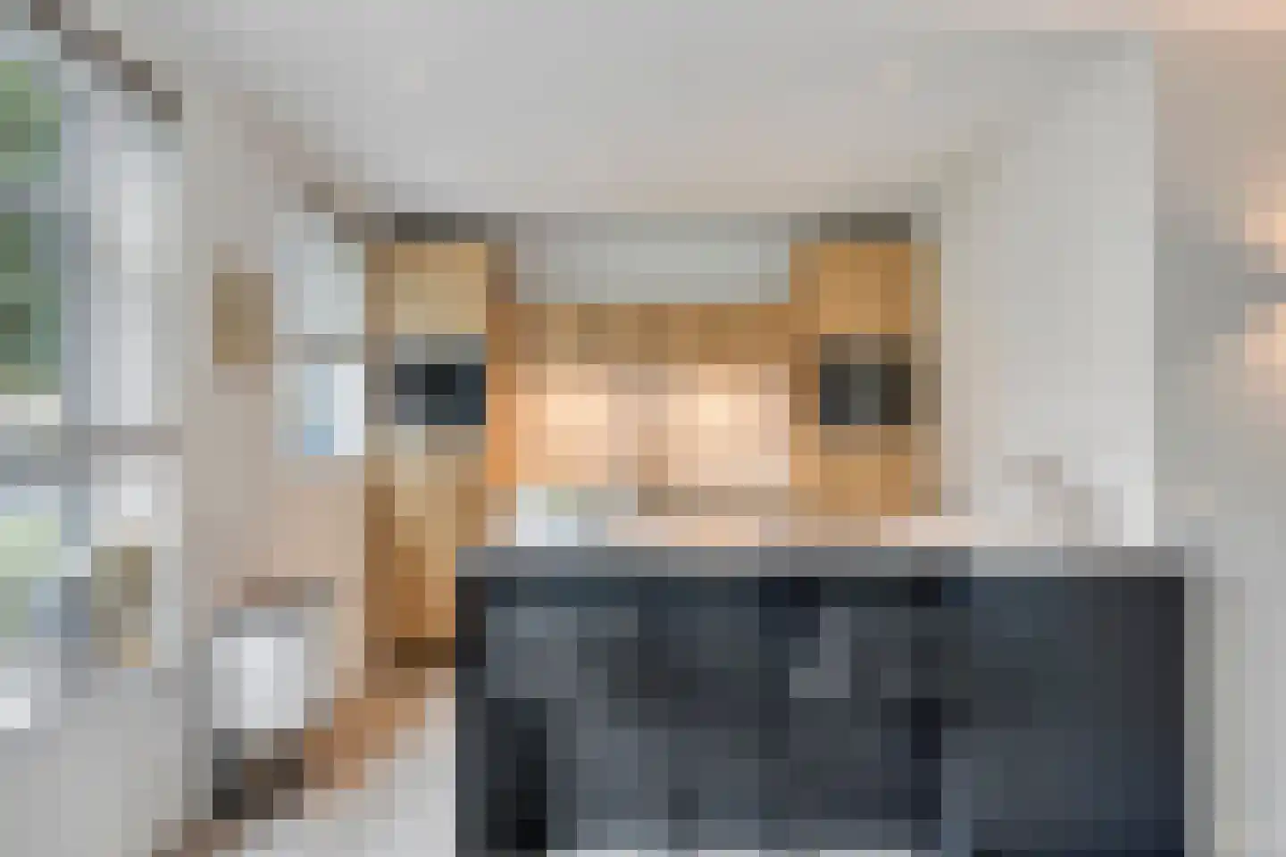 Koolmeesstraat 7 Heerhugowaard thumbnail 19
