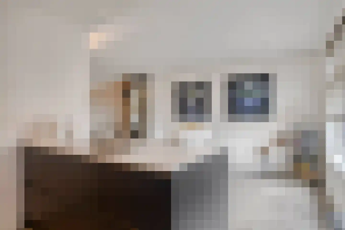 Koolmeesstraat 7 Heerhugowaard thumbnail 20