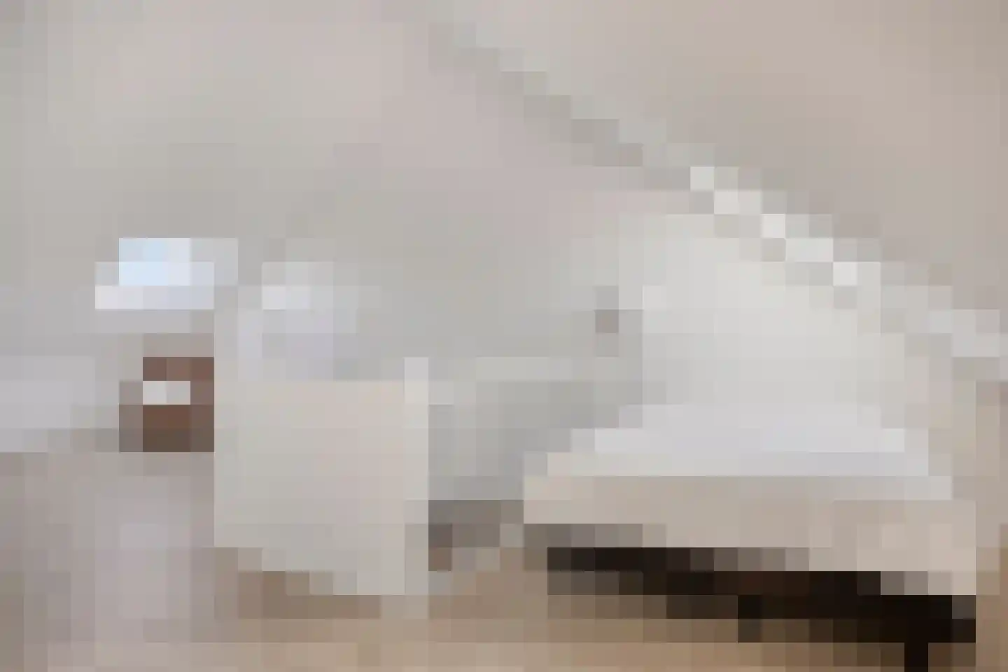 Koolmeesstraat 7 Heerhugowaard thumbnail 33