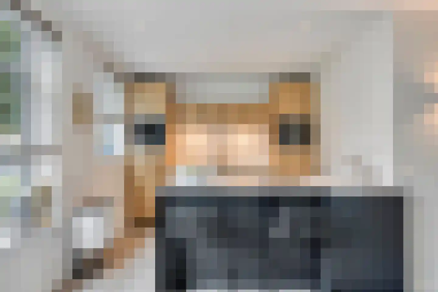 Koolmeesstraat 7 Heerhugowaard thumbnail 5