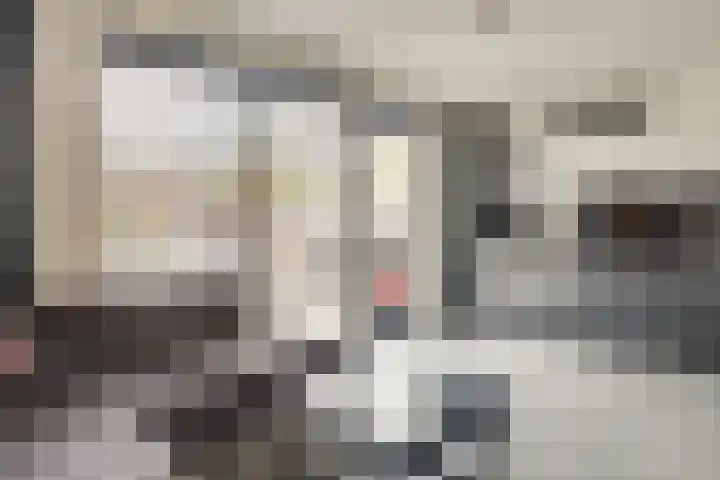 Koolmeesstraat 7 Sterksel thumbnail 10
