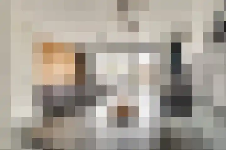 Koolmeesstraat 7 Sterksel thumbnail 13