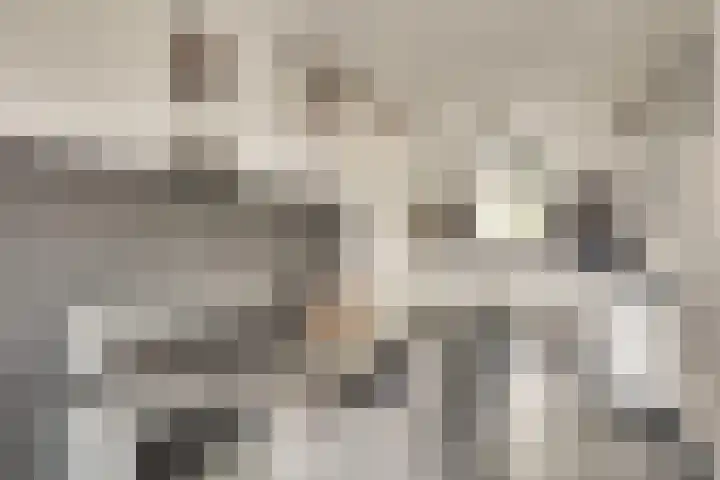 Koolmeesstraat 7 Sterksel thumbnail 14