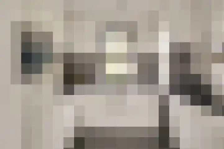 Koolmeesstraat 7 Sterksel thumbnail 15