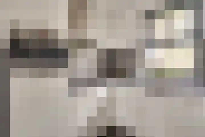 Koolmeesstraat 7 Sterksel thumbnail 16