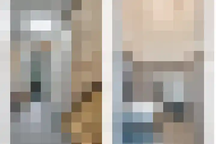 Koolmeesstraat 7 Sterksel thumbnail 17