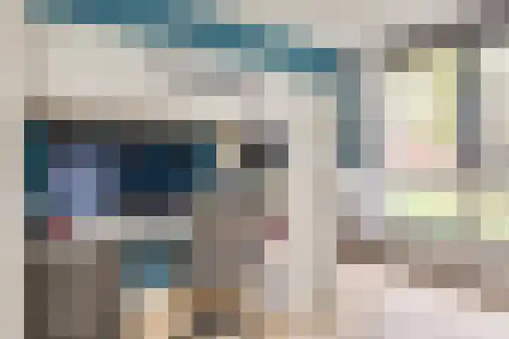 Koolmeesstraat 7 Sterksel thumbnail 22
