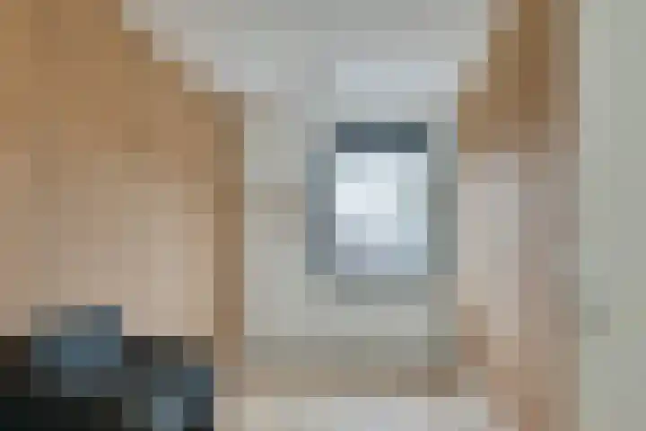Koolmeesstraat 7 Sterksel thumbnail 23