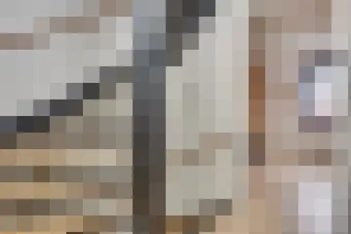 Koolmeesstraat 7 Sterksel thumbnail 24