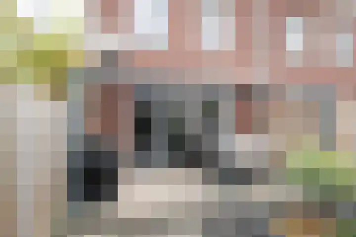 Koolmeesstraat 7 Sterksel thumbnail 27