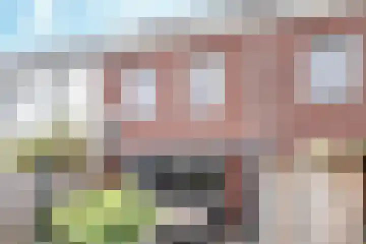 Koolmeesstraat 7 Sterksel thumbnail 29