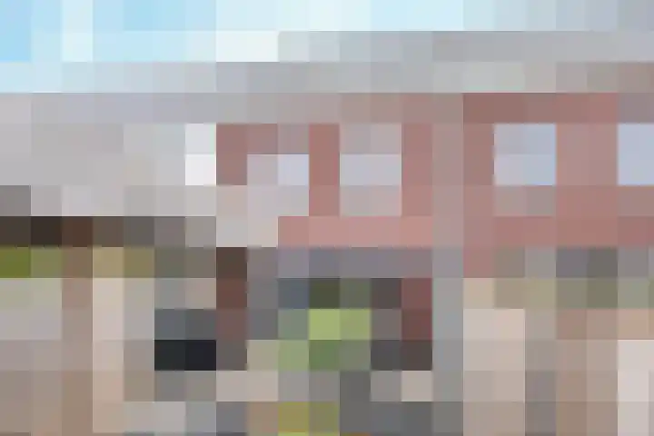 Koolmeesstraat 7 Sterksel thumbnail 30