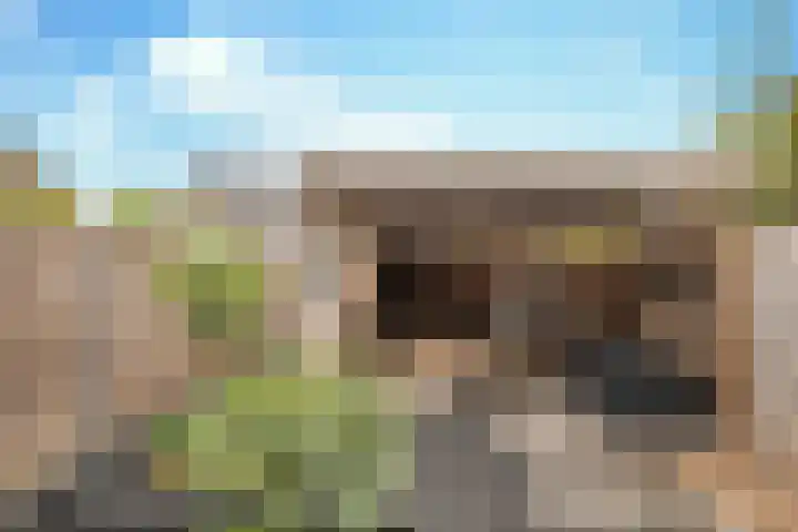 Koolmeesstraat 7 Sterksel thumbnail 4