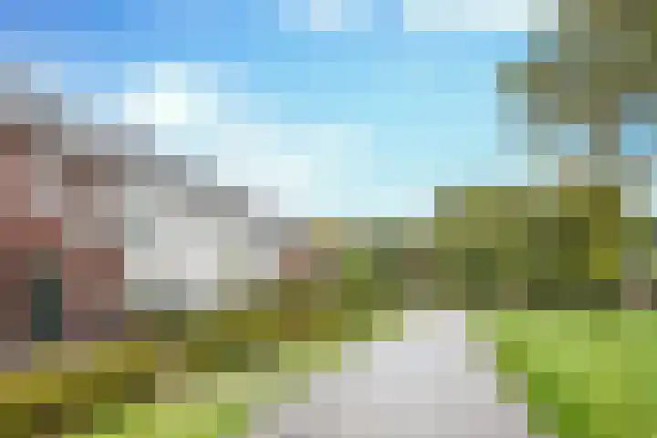 Koolmeesstraat 7 Sterksel thumbnail 5