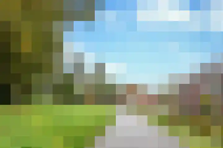 Koolmeesstraat 7 Sterksel thumbnail 6