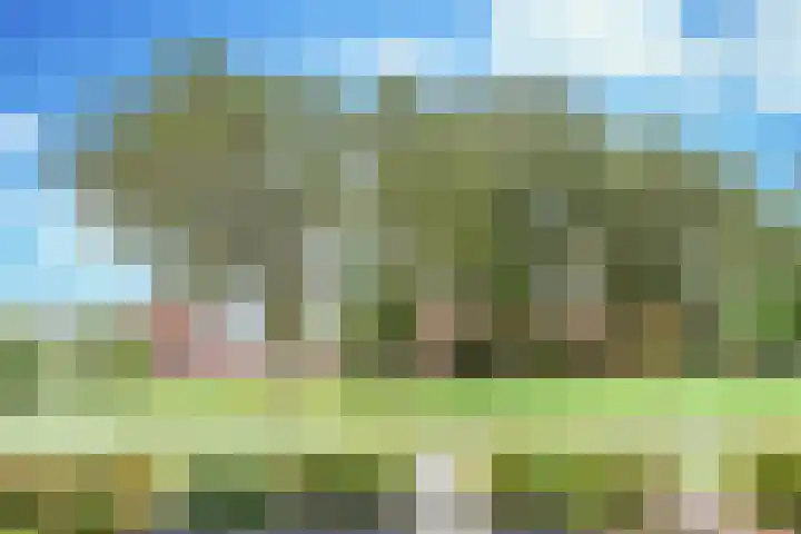Koolmeesstraat 7 Sterksel thumbnail 7