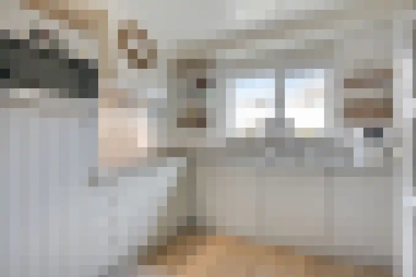 Koolmeesstraat 9 Duiven thumbnail 11