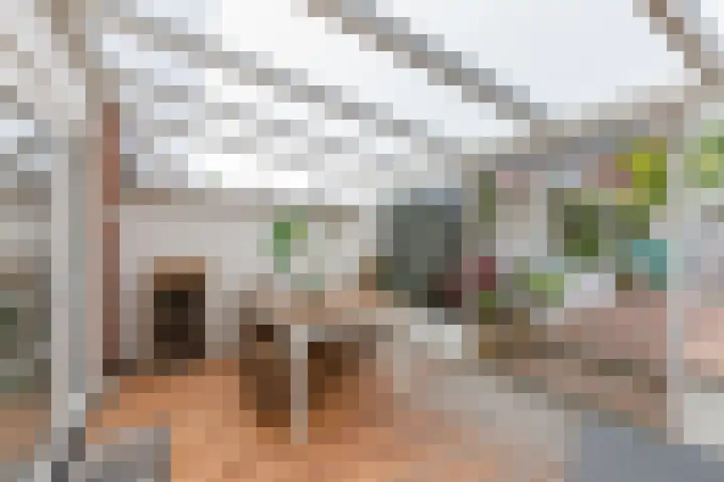 Koolmeesstraat 9 Duiven thumbnail 20