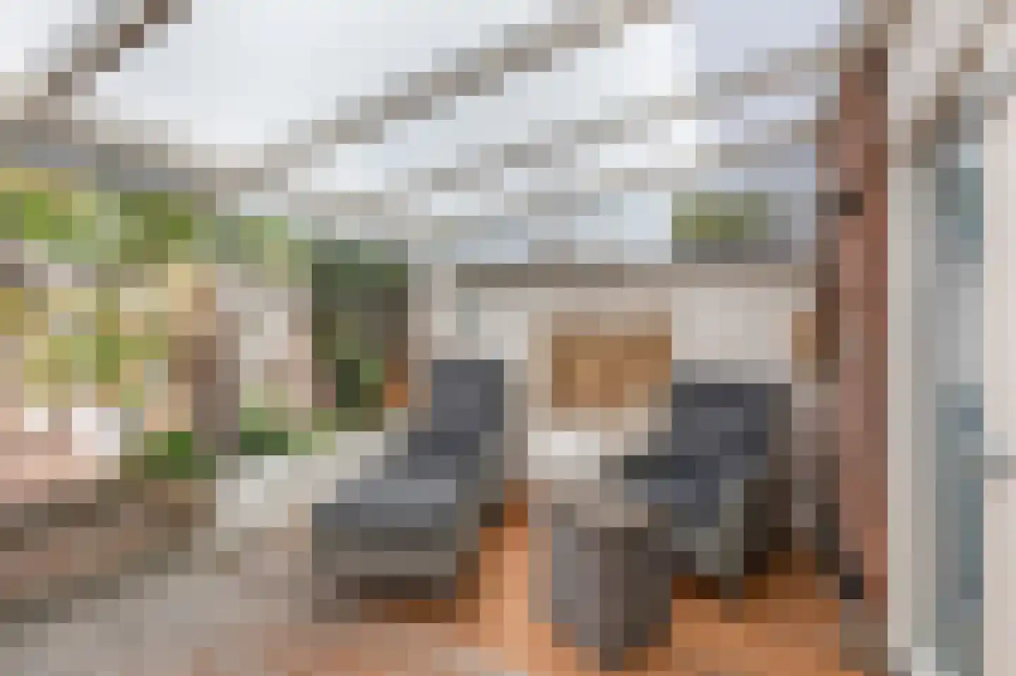 Koolmeesstraat 9 Duiven thumbnail 21