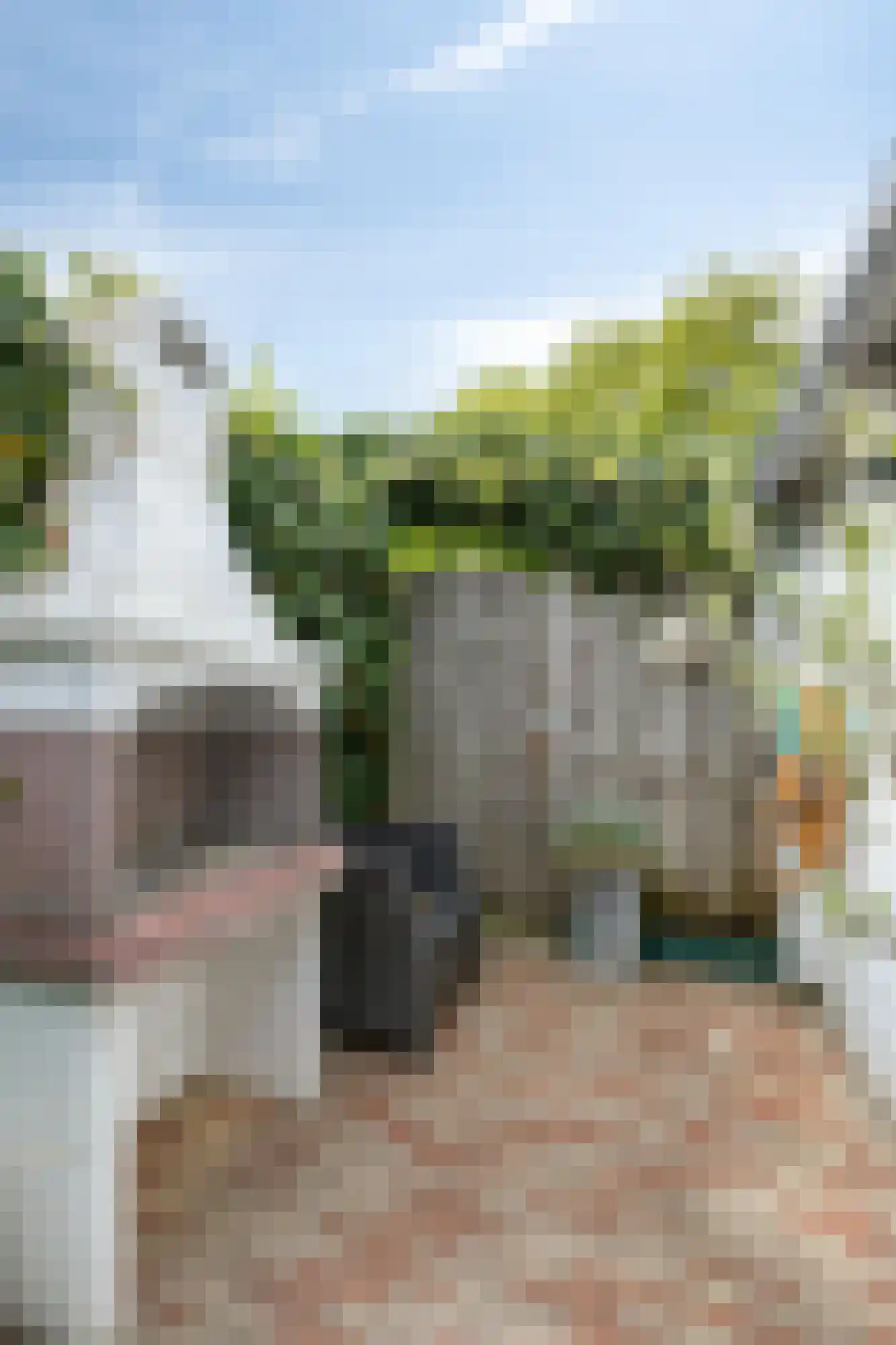 Koolmeesstraat 9 Duiven thumbnail 27
