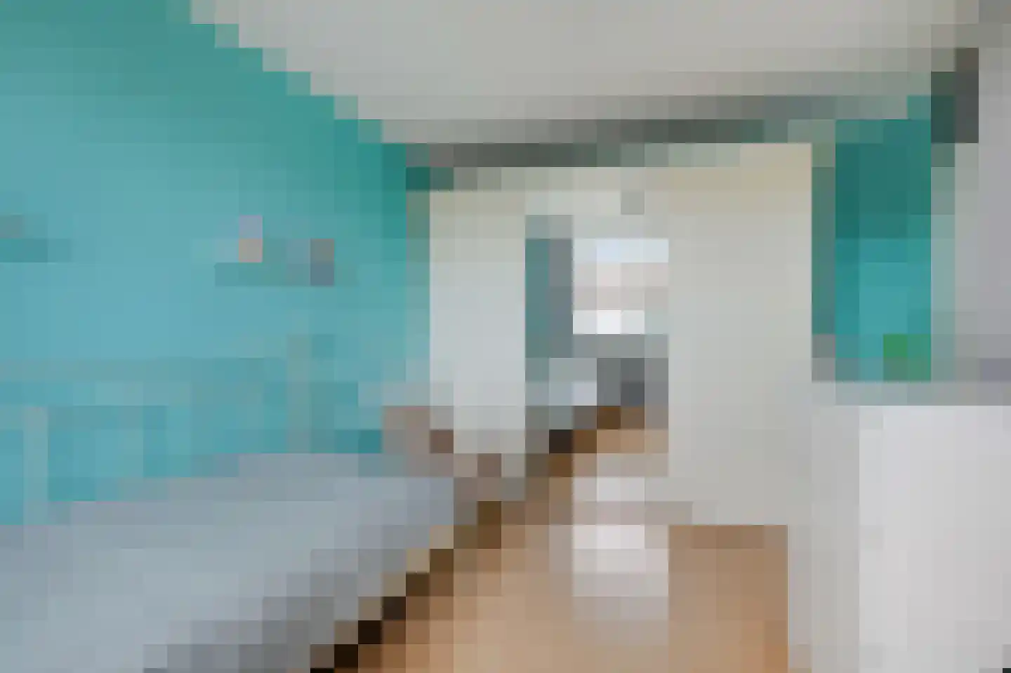 Koolmeesstraat 9 Duiven thumbnail 33