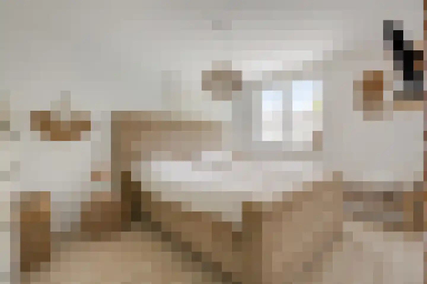 Koolmeesstraat 9 Duiven thumbnail 34
