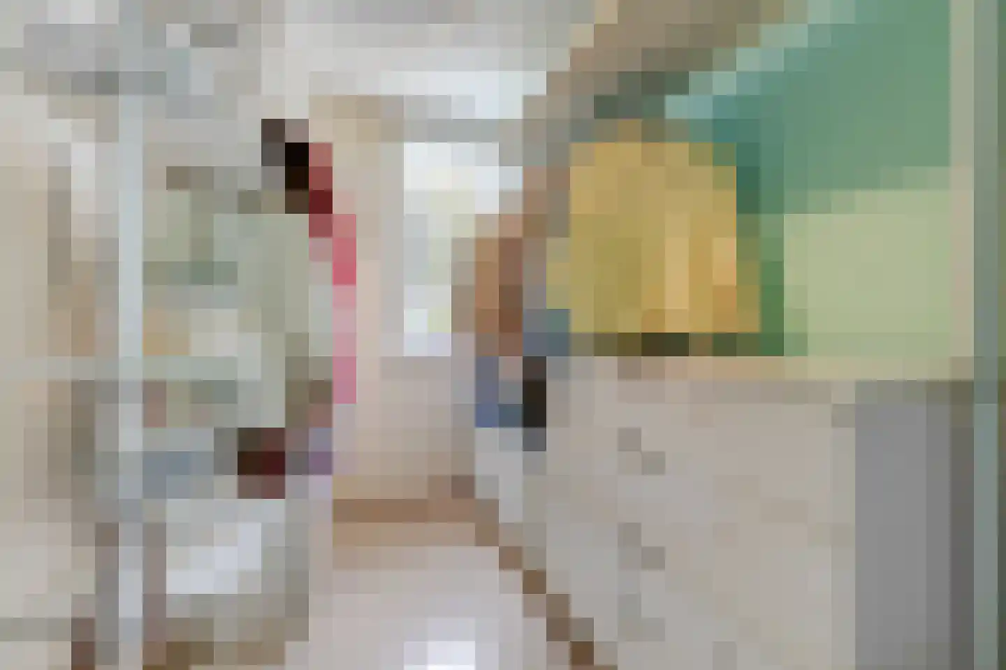 Koolmeesstraat 9 Duiven thumbnail 37