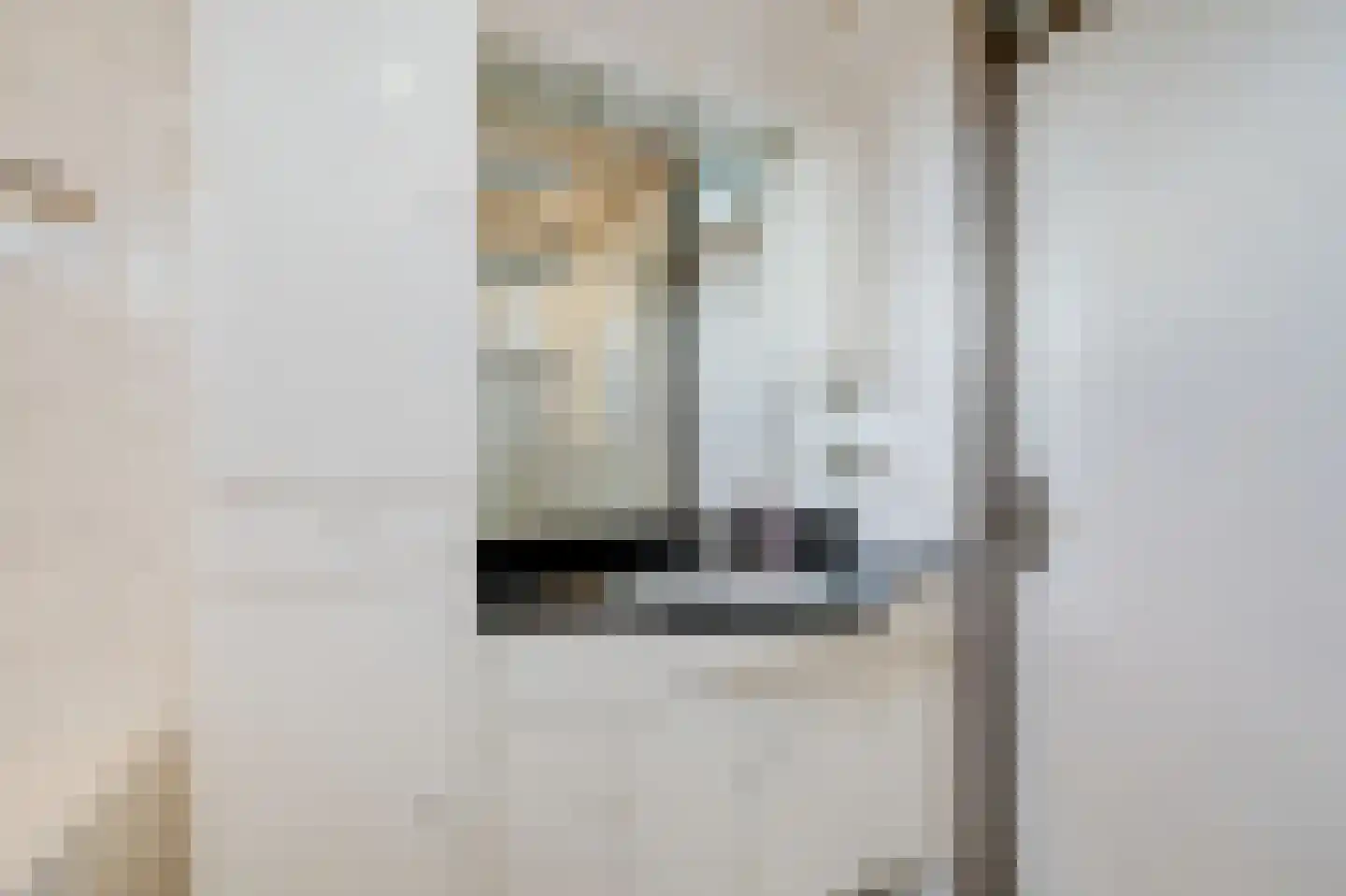 Koolmeesstraat 9 Duiven thumbnail 39