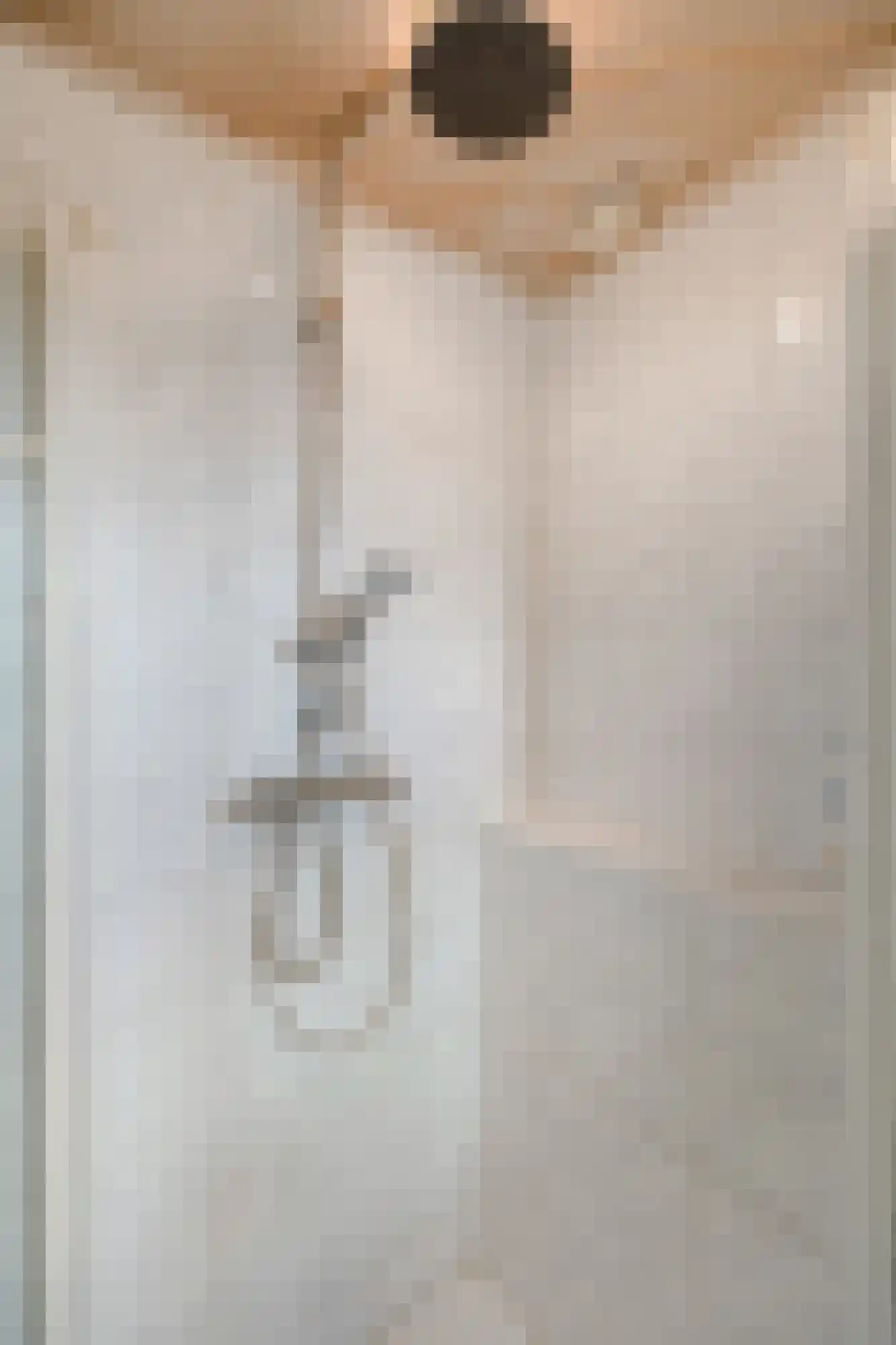 Koolmeesstraat 9 Duiven thumbnail 41