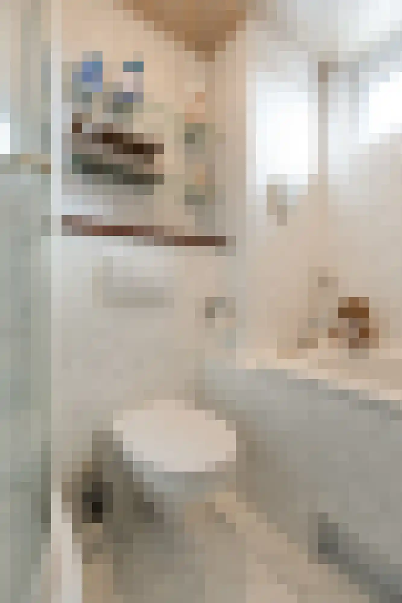 Koolmeesstraat 9 Duiven thumbnail 42
