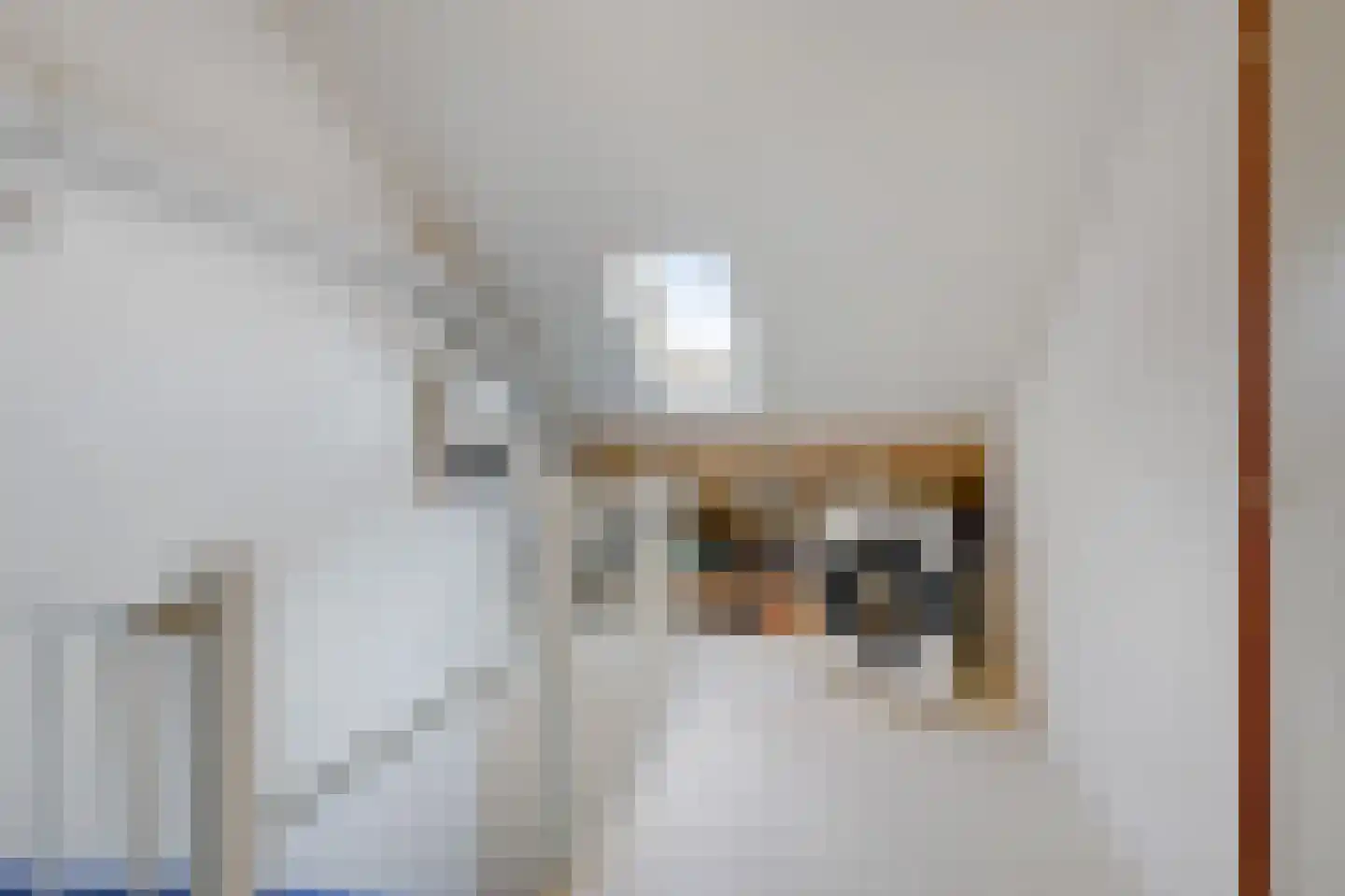 Koolmeesstraat 9 Duiven thumbnail 44