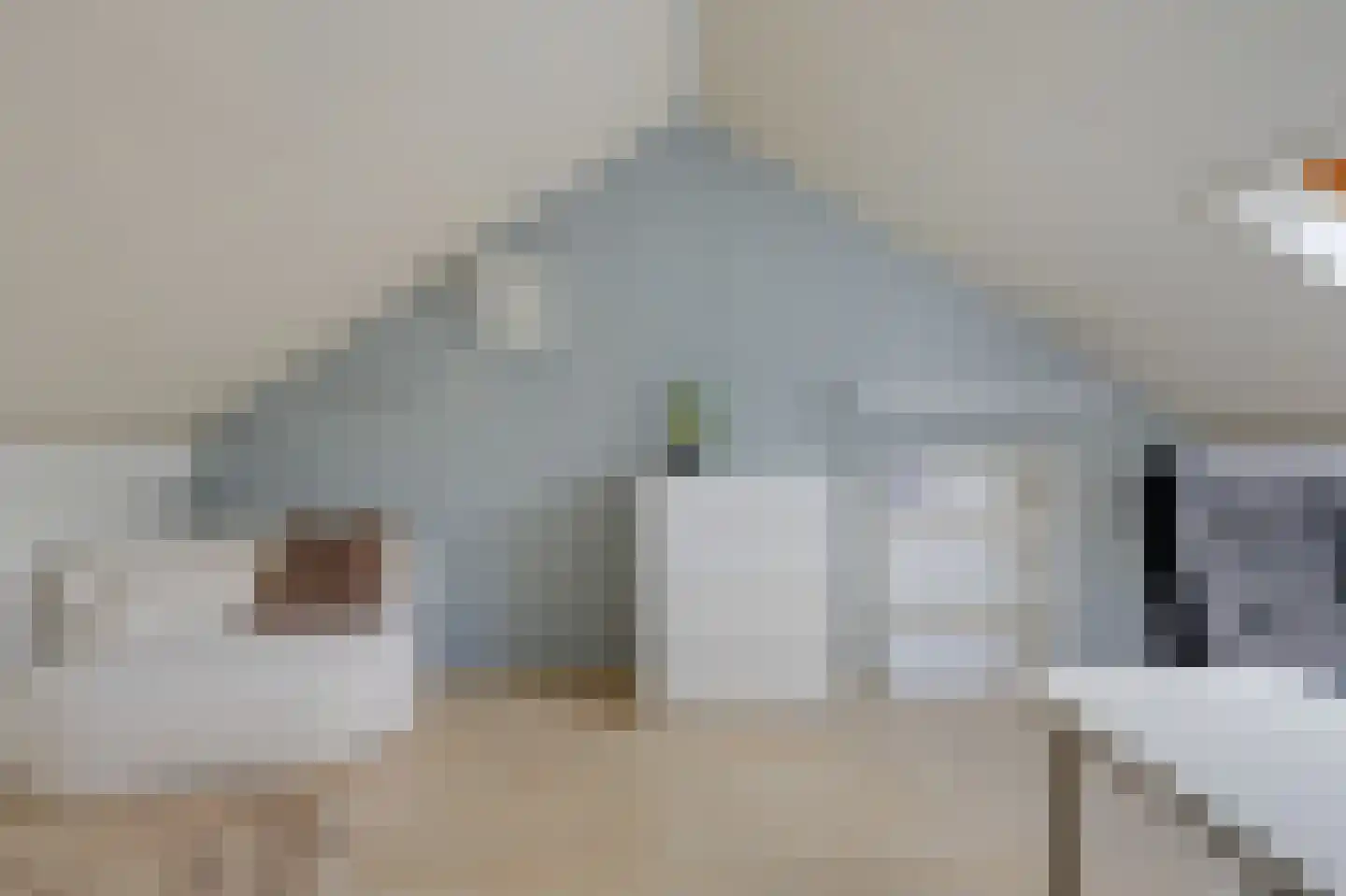 Koolmeesstraat 9 Duiven thumbnail 45