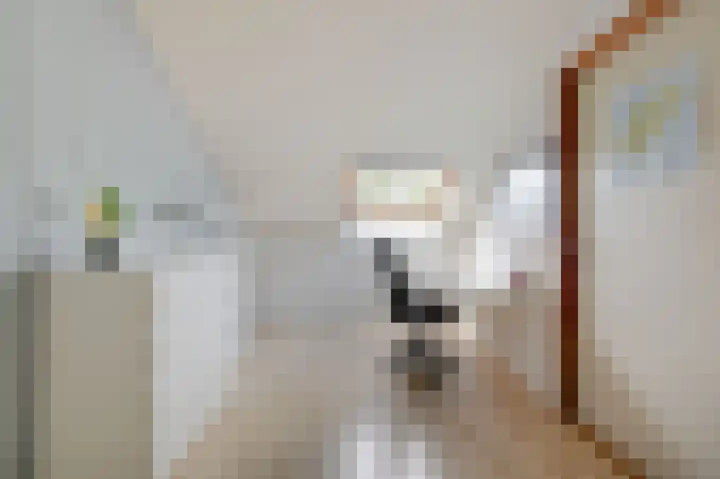 Koolmeesstraat 9 Duiven thumbnail 46