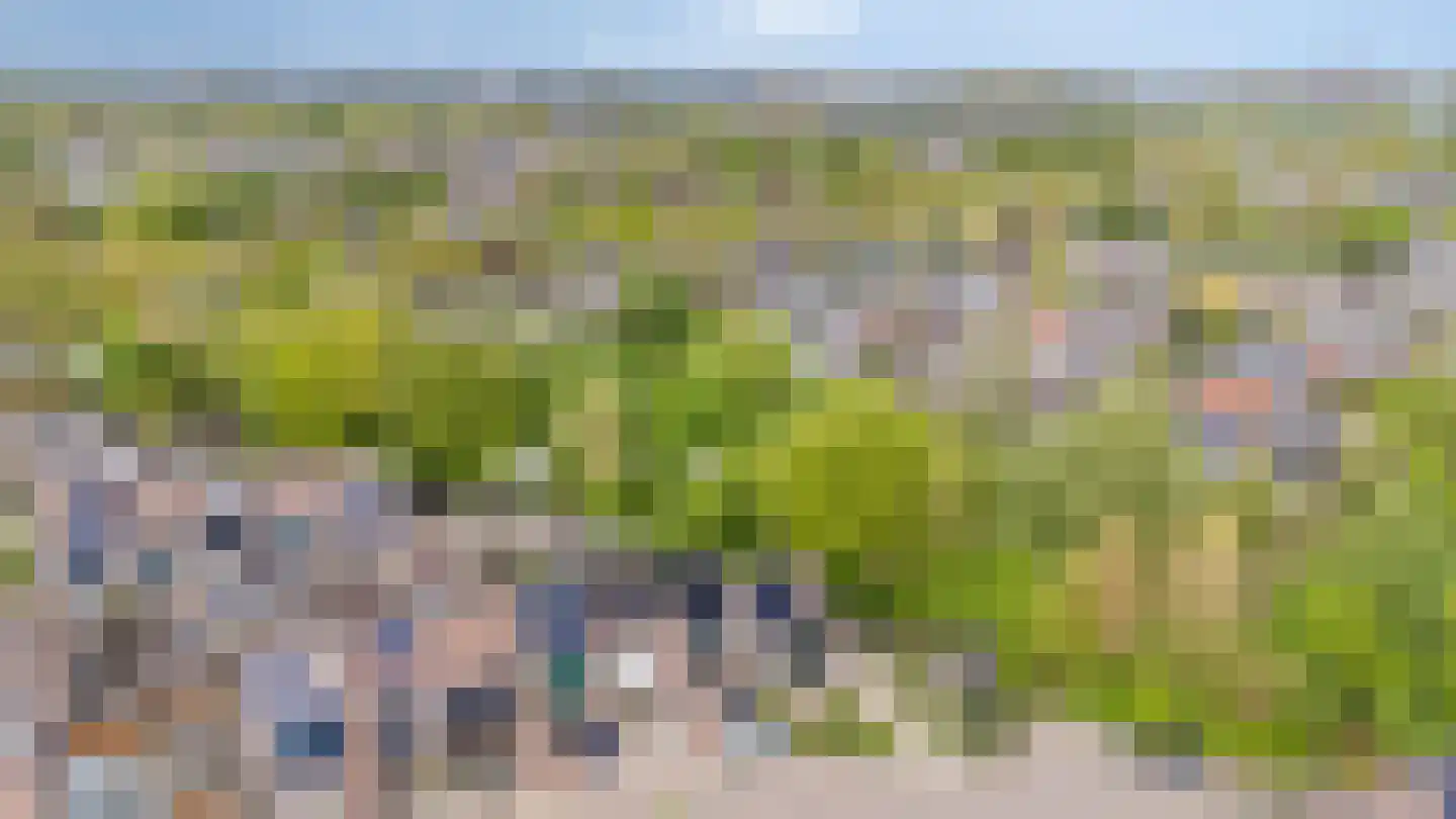 Koolmeesstraat 9 Duiven thumbnail 54