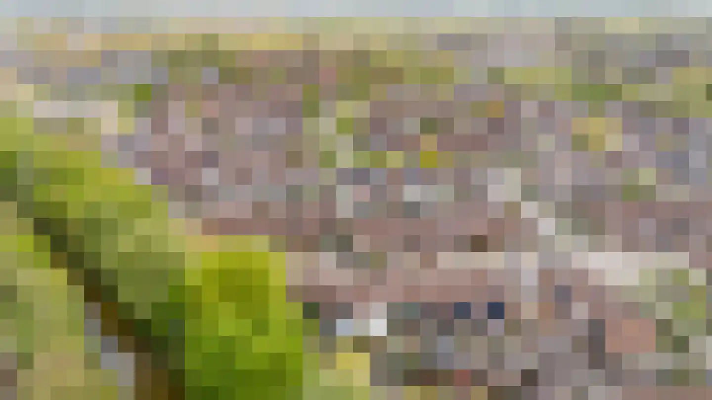 Koolmeesstraat 9 Duiven thumbnail 55