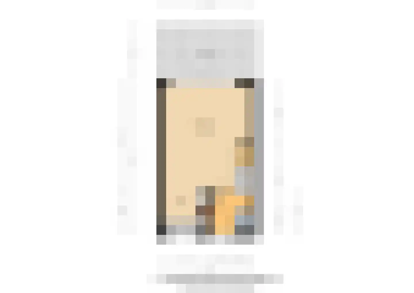 Koolmeesstraat 9 Duiven thumbnail 56