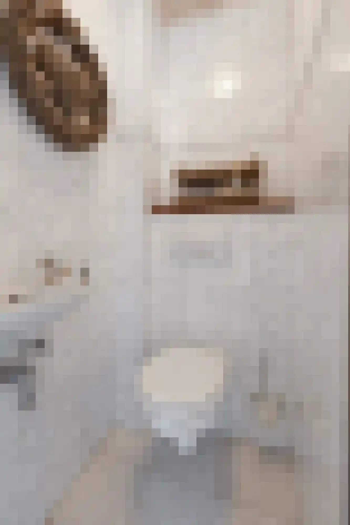 Koolmeesstraat 9 Duiven thumbnail 7