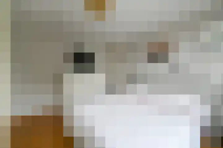 Koolmeesstraat 9 Maassluis thumbnail 22