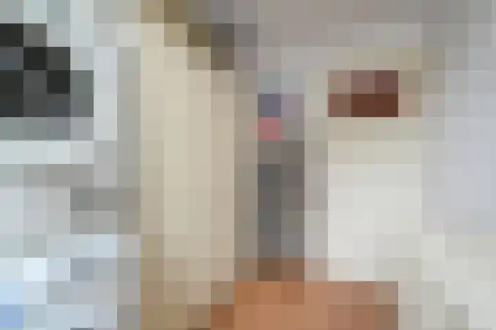 Koolmeesstraat 9 Maassluis thumbnail 28