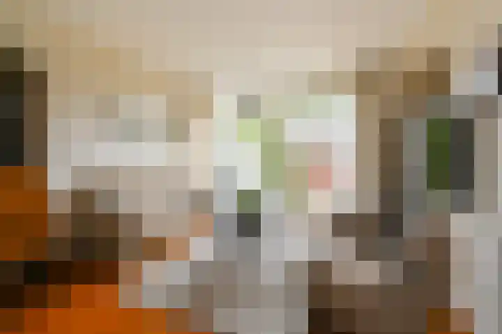 Koolmeesstraat 9 Maassluis thumbnail 7