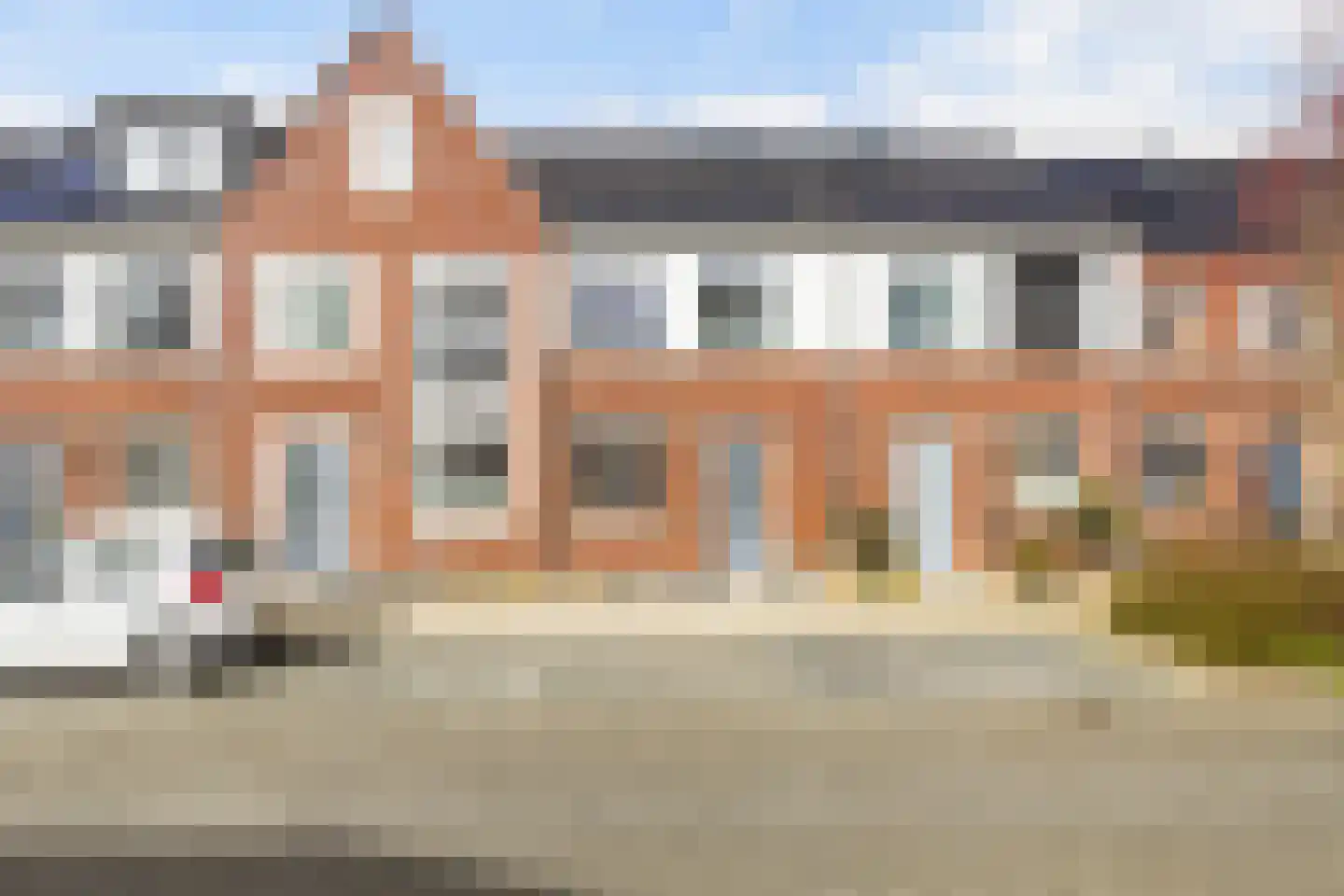 Koolraap 14 Roelofarendsveen
