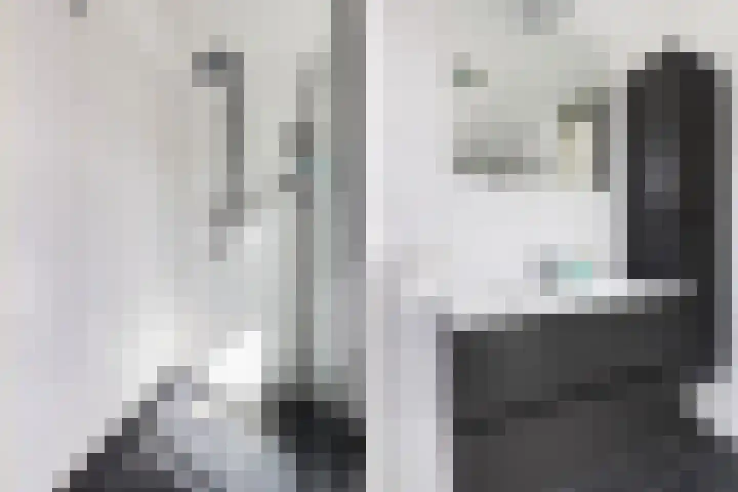 Koolraap 14 Roelofarendsveen thumbnail 13