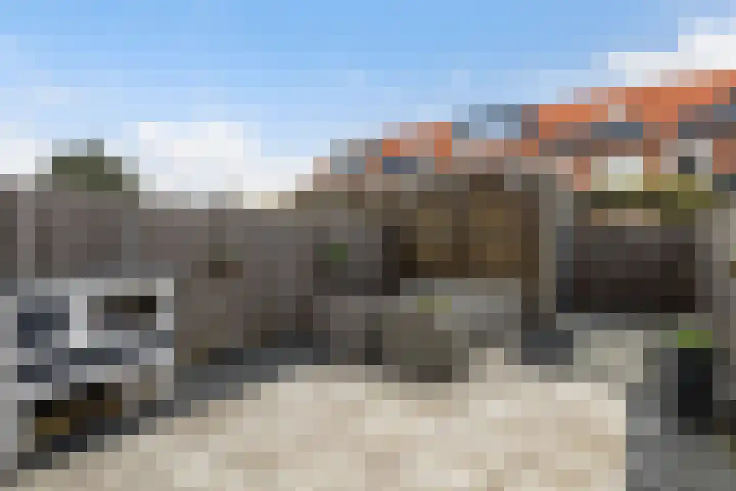 Koolraap 14 Roelofarendsveen thumbnail 18
