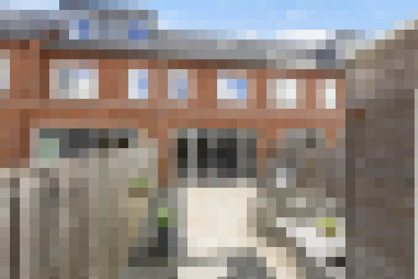 Koolraap 14 Roelofarendsveen thumbnail 4