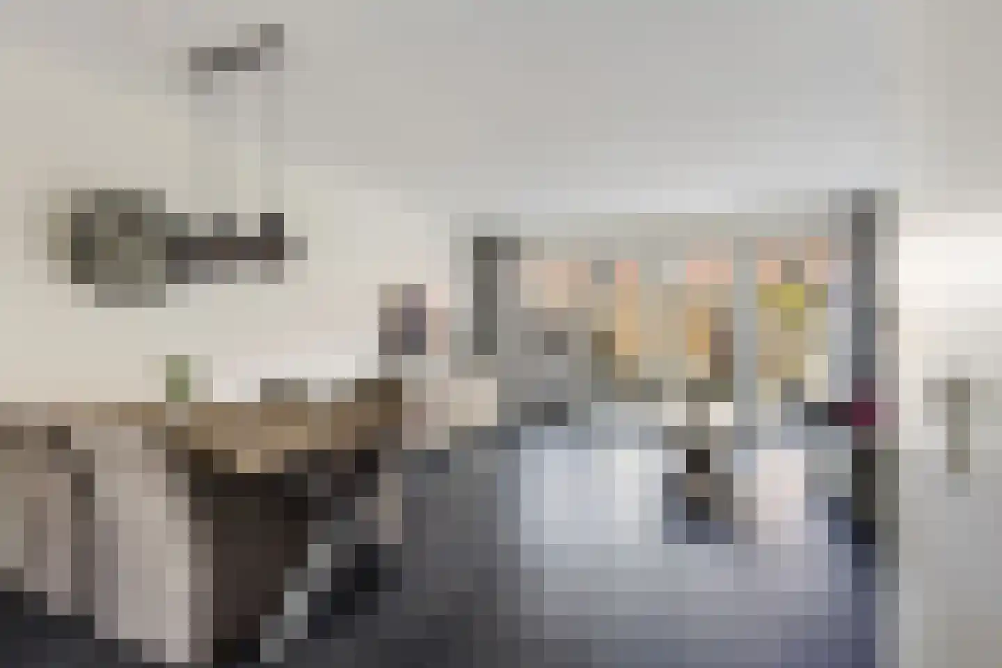 Koolraap 14 Roelofarendsveen thumbnail 5