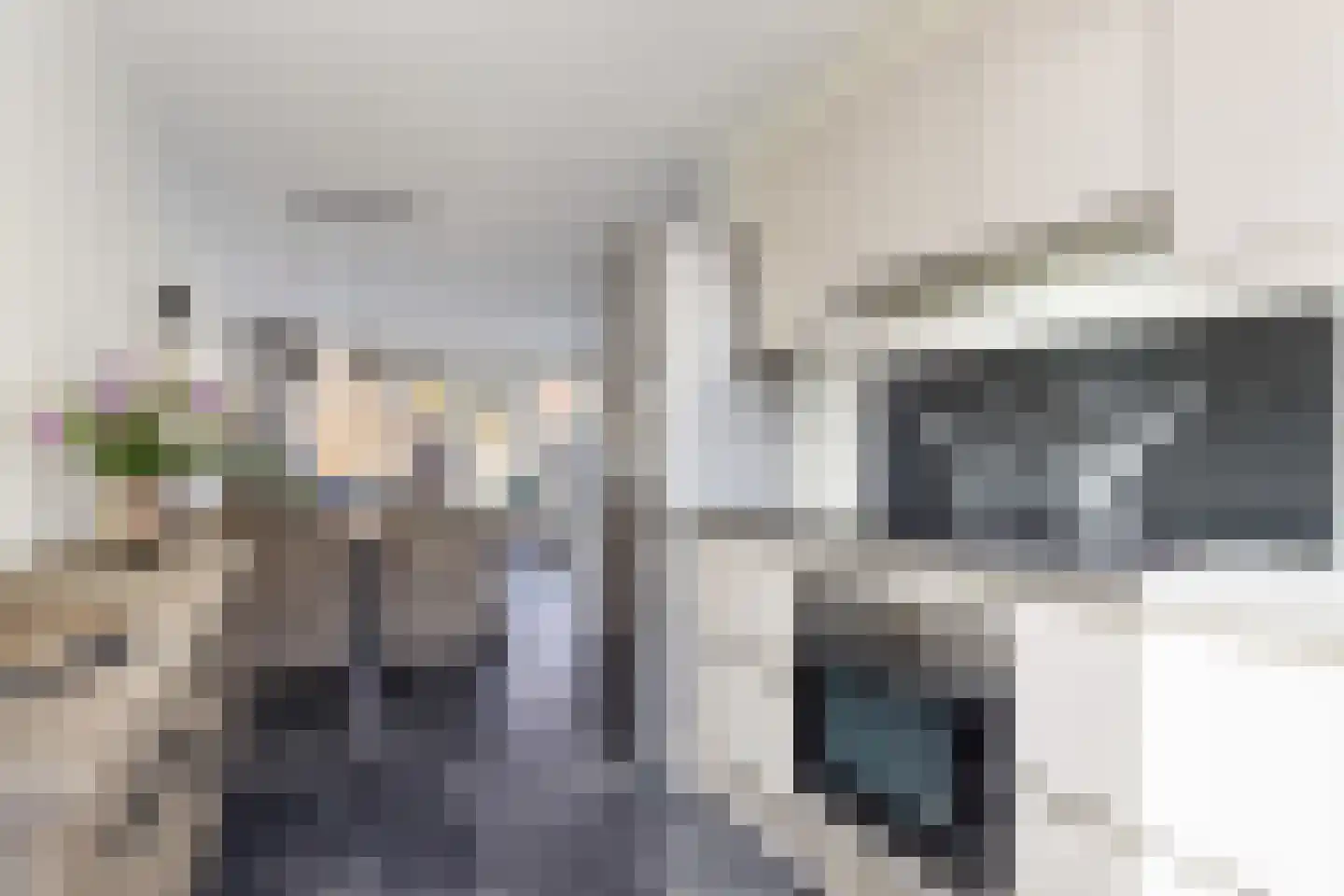 Koolraap 14 Roelofarendsveen thumbnail 6