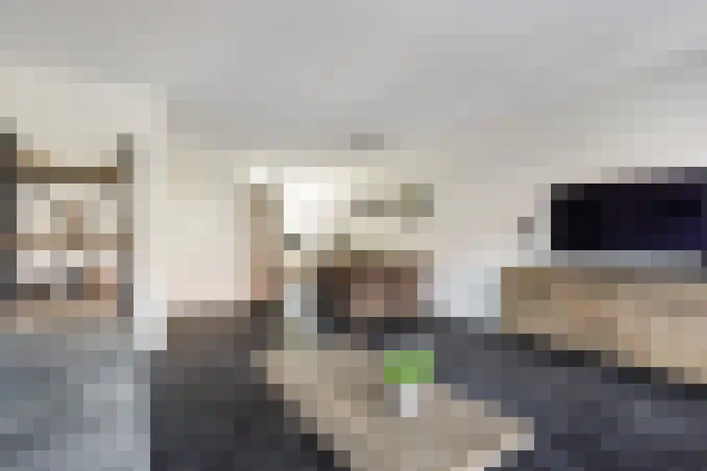 Koolraap 14 Roelofarendsveen thumbnail 7