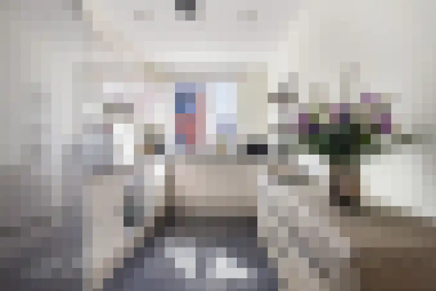 Koolraap 14 Roelofarendsveen thumbnail 8