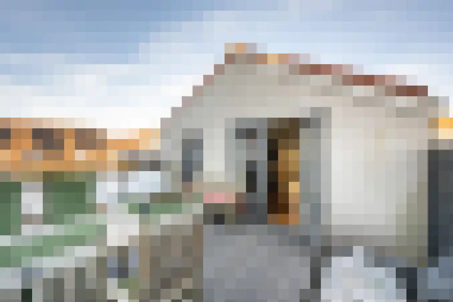 Koolsteeg 30 Haarlem thumbnail 11