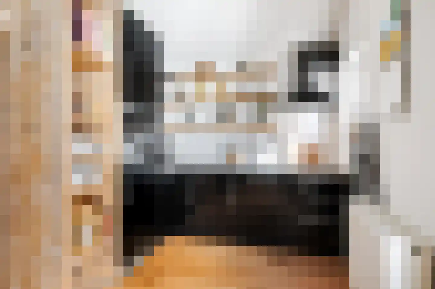Koolsteeg 30 Haarlem thumbnail 13